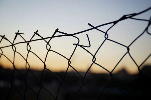 carlo wire