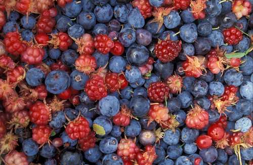 Red fruits
