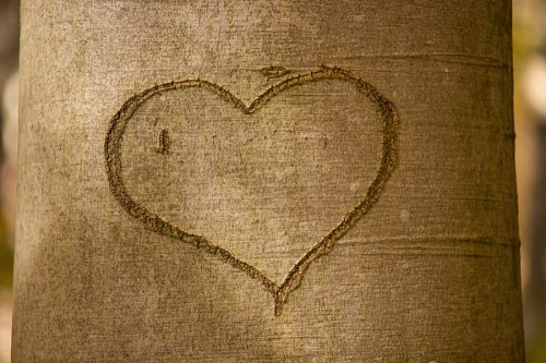 loyal Heart carved in tree