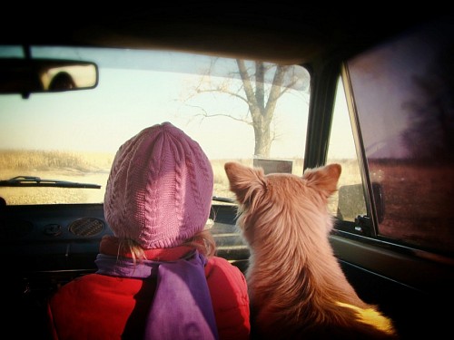 route Girl traveling with her pet