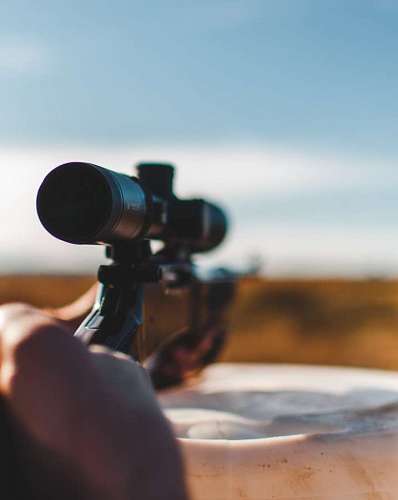 aim  Shotgun sight