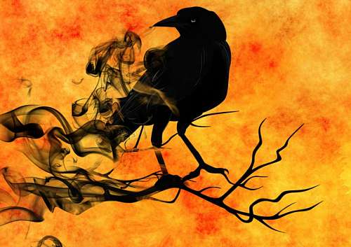 terror Raven