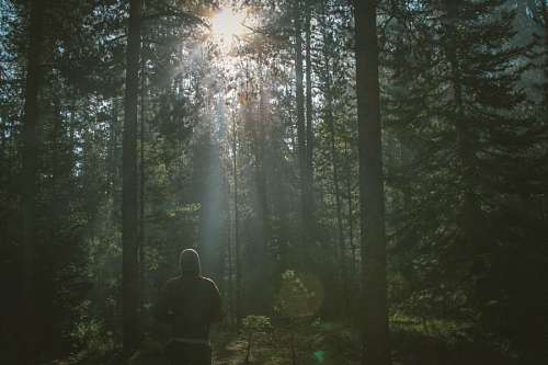 Man at Forest
