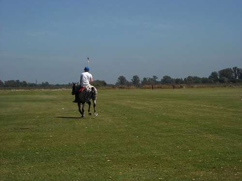 Play Polo