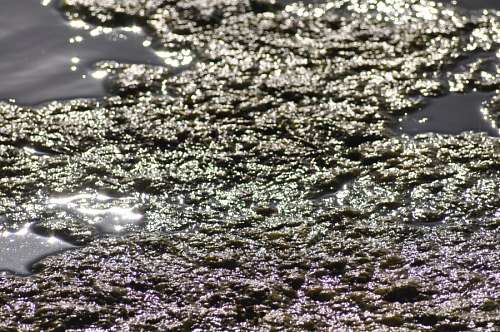 Texture, Textures, Water Reflection Lake 