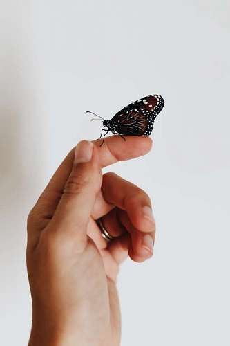 Woman holding a butterfly 