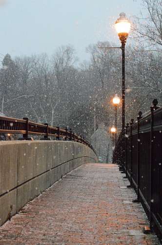 snowy Winter