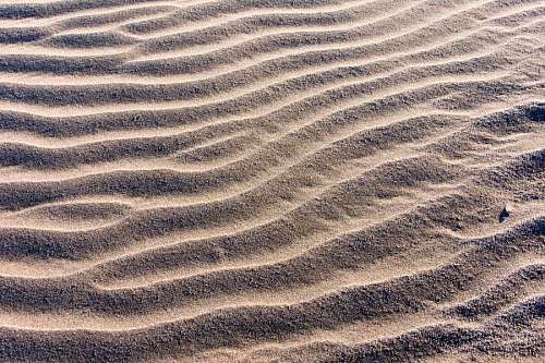 terrain waves formed by the wind in the sand on the beach