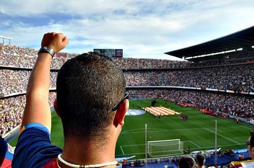 encouraging Soccer Fan