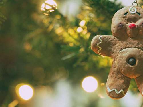 christmastime Christmas cookie hanging on the Christmas tree