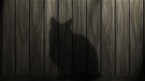 Feline shade