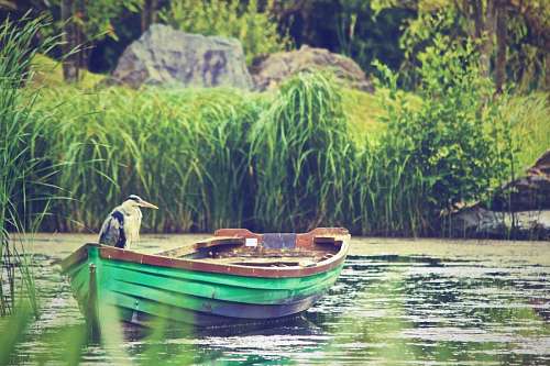 Boat at river