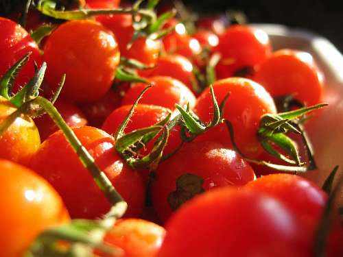 tomato, tomatoes, fruit, vegetable, red, ingredien