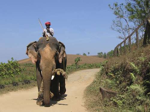 India
