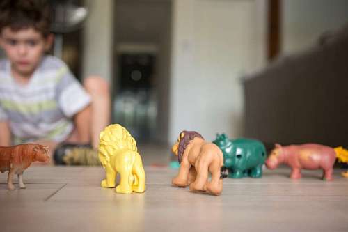 savings Boy playing with toy animals