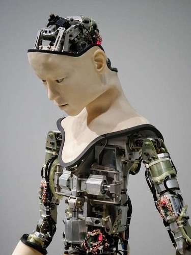 humanoid robot