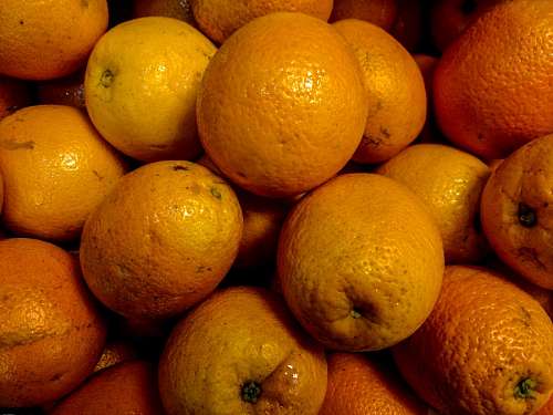Orange fruit
