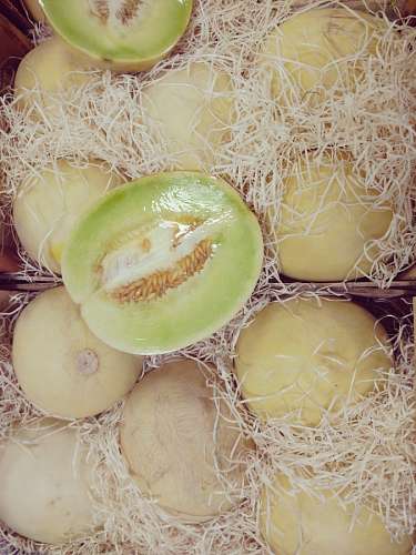 nutrients Melons