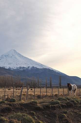 Patagonia, Neuquen, volcano, lanin snow landscape,