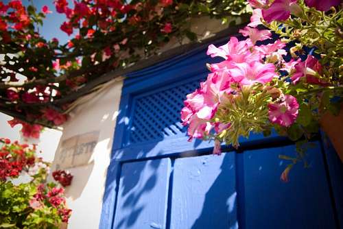 blue door