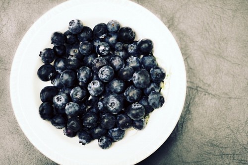 edible-mushroom Blue cranberries