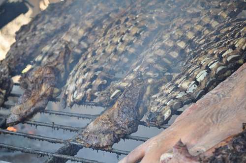 asador 