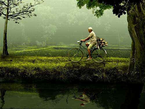 vietnam Man with bicycle