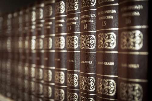 shelf Library
