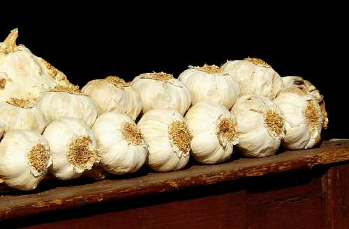 String of garlic