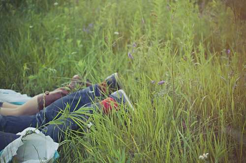 Feet of couple lying on the grass