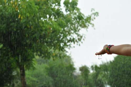 one person, people, woman, hand, rain, front view,