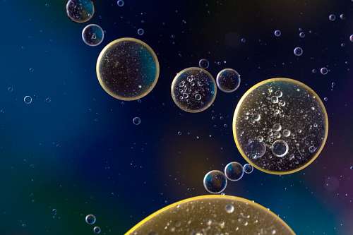 Cells