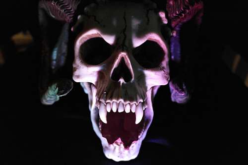 terror Monster