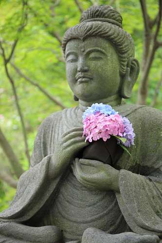 buddha buddha