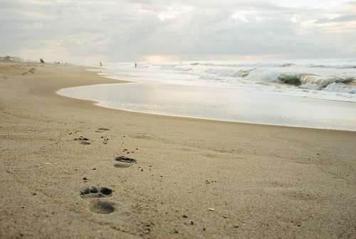 footprints footprint
