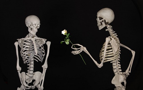 bone Skeletons in love
