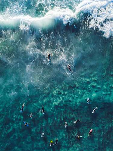 People surfing in the sea