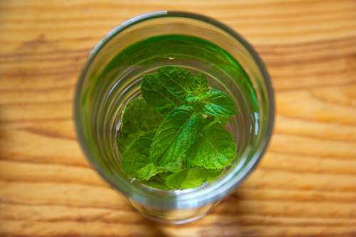 Mint tea