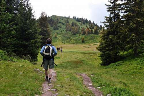 one person, people, man, outdoors, forest, mountai