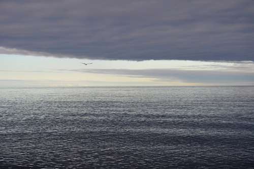 sunset, sunset, horizon, clouds, cloud, Puerto Mad