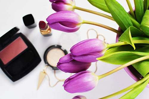 glamorous Lilac flower and cosmetics