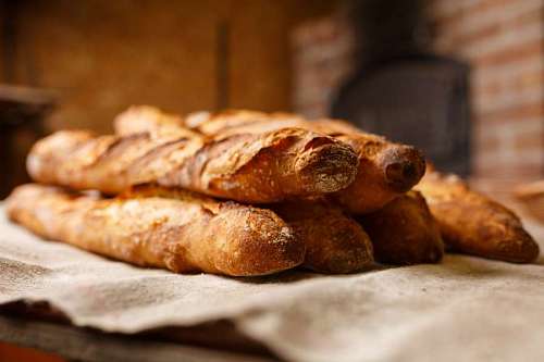 wheat Close up of Bread recently ovened
