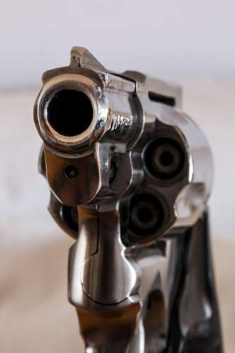 Gun