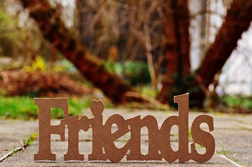 loyal Wooden ornament with the word Friends