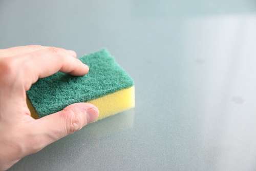 cleaning-sponge sponge
