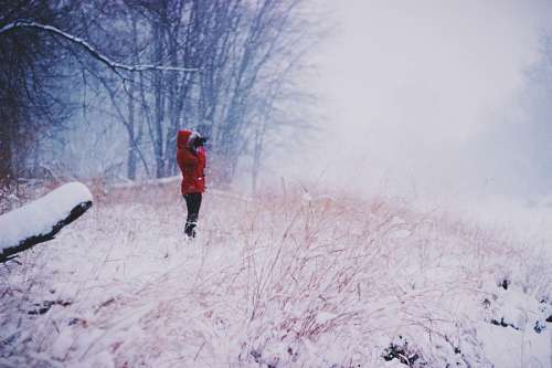 george-town Wintertime
