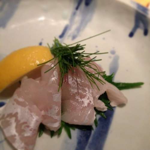food, plate, front view, fish, fish, sushi, raw, g