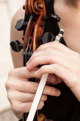 violin Violinist woman holding violin on white background