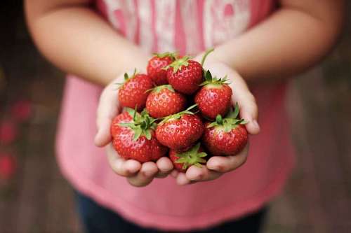 Woman holding a handful of fresh strawberries