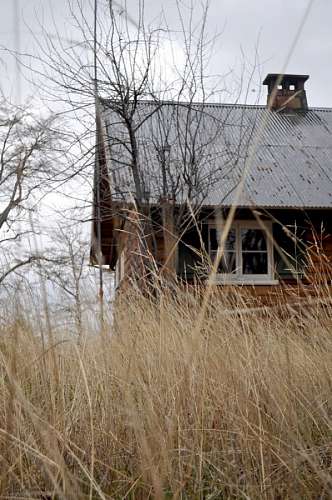 lodge lodge, wooden cottage, nobody, outside, day, grass